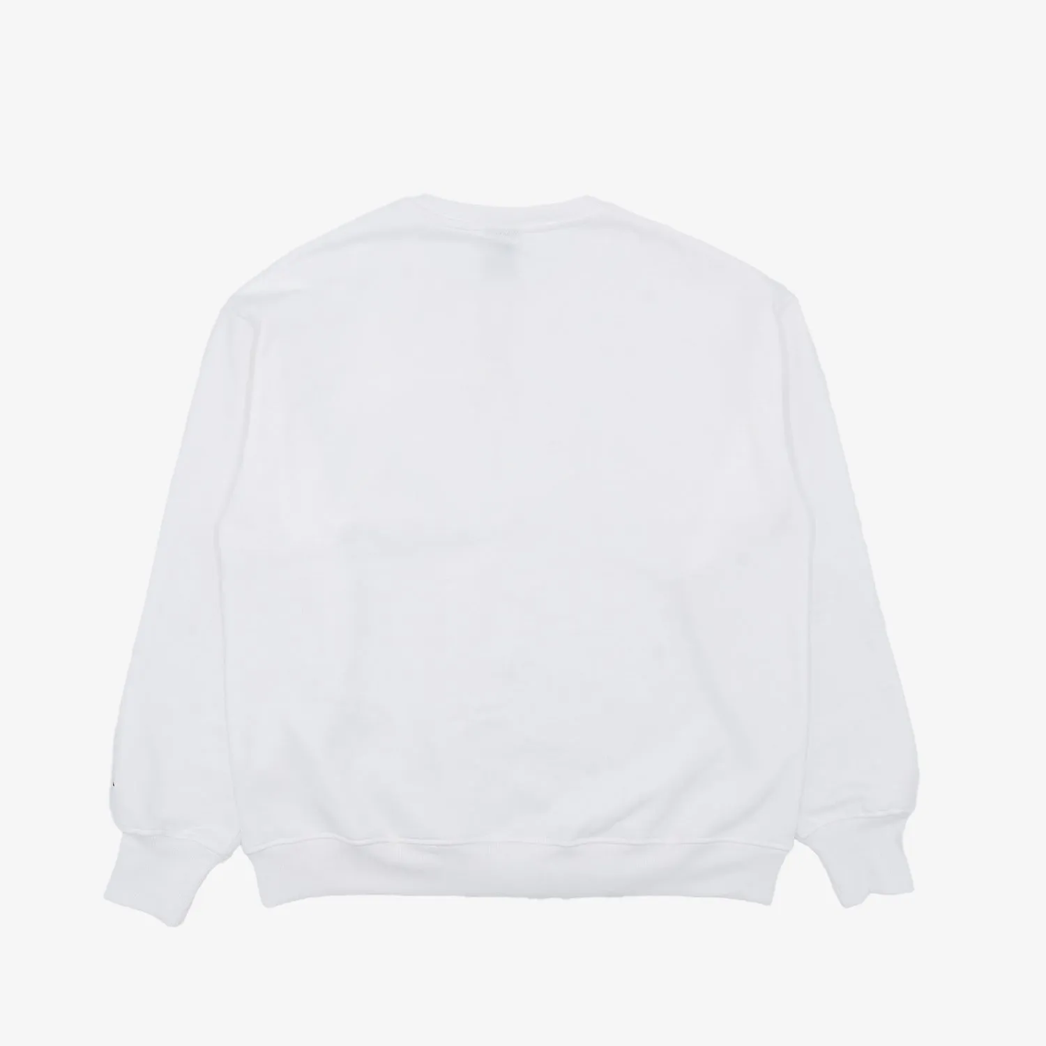 Coastie Embroidered Crewneck in White