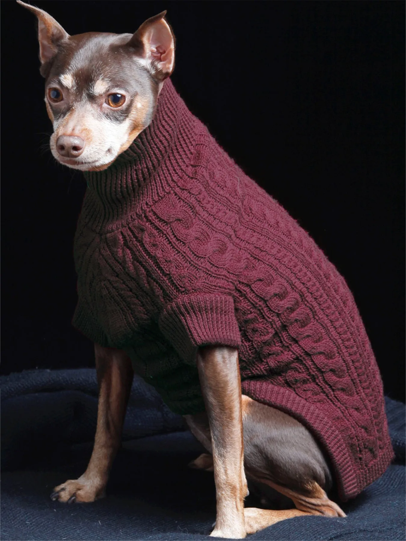 Paws Turtle Neck Mixed Cable Knitted Sweater